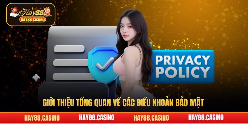 Giới thiệu tổng quan về các điều khoản bảo mật Hay88