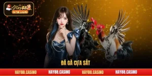đá gà cựa sắt